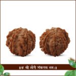 Natural Big Collector Gauri Shankar Rudraksha ( गौरी शंकर रुद्राक्ष ) - Image 2