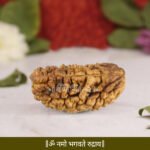 Ek Mukhi Rudraksha ( एक मुखी रुद्राक्ष ) - Image 2