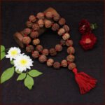 7 Mukhi Rudraksh Siddha Kantha Mala ( सात मुखी रुद्राक्ष सिद्ध माला )