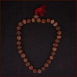 7 Mukhi Rudraksh Siddha Kantha Mala ( सात मुखी रुद्राक्ष सिद्ध माला ) - Image 2