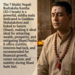 7 Mukhi Rudraksh Siddha Kantha Mala ( सात मुखी रुद्राक्ष सिद्ध माला ) - Image 4