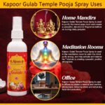 Kapoor Gulab ( कापूर गुलाब ) - Image 3