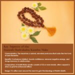 Vighnaharta Vignavinashak Siddha Siddhivinayak Ganesh Rudraksha Kantha Mala (सिद्धिविनायक गणेश सिद्ध कांथा माला ) - Image 4