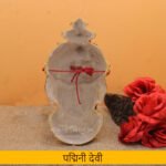 Padmini Devi Face पद्मिनी देवी फेस / श्री पद्मिनी देवी मुखवटा for Home Puja Mata Face for Kalash Decoration Fiber Goddess Mukha for Navratri & Varalakshmi Vratham Temple Goddess Face for Puja(Devi Mukh Height is: 8.5 Inch) - Image 4
