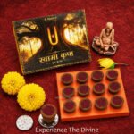 Swami Krupa (स्वामी कृपा) - Image 2